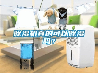 行業新聞除濕機真的可以除濕嗎？