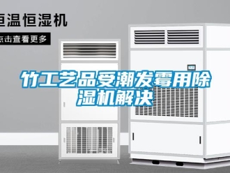 知識百科竹工藝品受潮發(fā)霉用除濕機解決