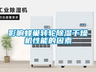 知識百科影響蜂巢轉(zhuǎn)輪除濕干燥機(jī)性能的因素