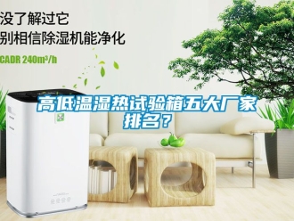 常見問題高低溫濕熱試驗(yàn)箱五大廠家排名？