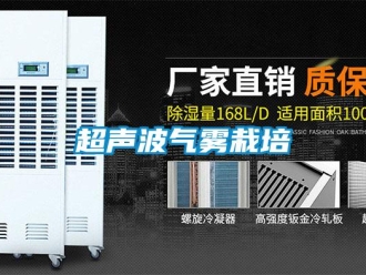 企業(yè)新聞超聲波氣霧栽培