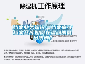 企業新聞檔案業務知識：檔案室或檔案倉庫如何在濕潤的夏日防潮？