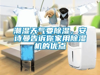 企業新聞潮濕天氣要除濕，安詩曼告訴你家用除濕機的優點