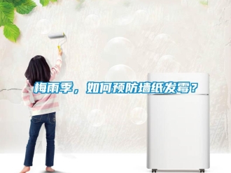 常見問題梅雨季，如何預防墻紙發霉？