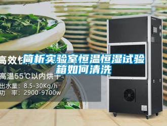 知識(shí)百科簡析實(shí)驗(yàn)室恒溫恒濕試驗(yàn)箱如何清洗