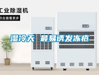 知識百科濕冷天 最易誘發(fā)凍瘡