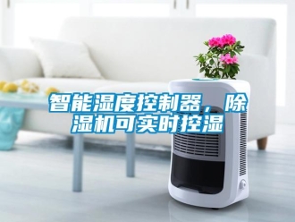 知識百科智能濕度控制器，除濕機可實時控濕