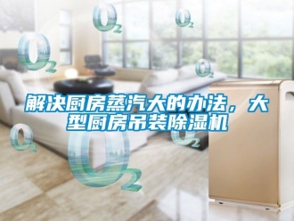 行業新聞解決廚房蒸汽大的辦法，大型廚房吊裝除濕機