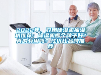 企業(yè)新聞2022年，好用除濕機(jī)抽濕機(jī)推薦：除濕機(jī)哪個(gè)牌子好？真的有用嗎？性價(jià)比品牌推薦