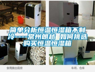 知識(shí)百科簡單分析恒溫恒濕箱不制冷----常州朗越 如何挑選購買恒溫恒濕箱