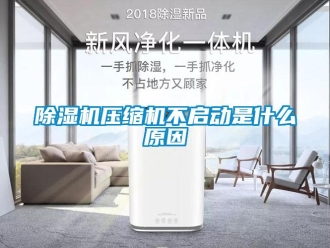 企業(yè)新聞除濕機壓縮機不啟動是什么原因