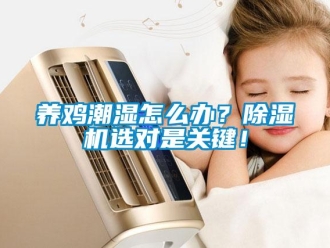 常見問題養(yǎng)雞潮濕怎么辦？除濕機選對是關(guān)鍵！