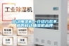 移動(dòng)抽濕機(jī)—介紹幾款不錯(cuò)的移動(dòng)抽濕機(jī)品牌