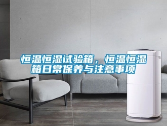 知識百科恒溫恒濕試驗箱，恒溫恒濕箱日常保養與注意事項