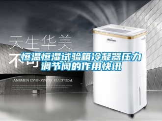 知識百科恒溫恒濕試驗箱冷凝器壓力調(diào)節(jié)閥的作用快訊