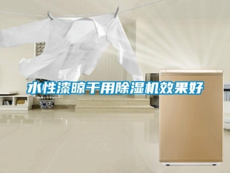 知識(shí)百科水性漆晾干用除濕機(jī)效果好