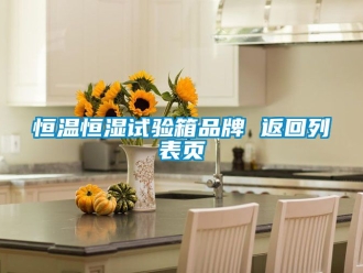 知識百科恒溫恒濕試驗箱品牌 返回列表頁