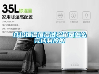 知識(shí)百科介紹恒溫恒濕試驗(yàn)箱是怎么完成制冷的