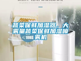 知識百科蔬菜保鮮加濕器，大霧量蔬菜保鮮加濕噴霧機