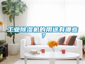 企業(yè)新聞工業(yè)除濕機(jī)的用途有哪些？
