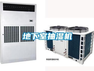企業(yè)新聞地下室抽濕機(jī)