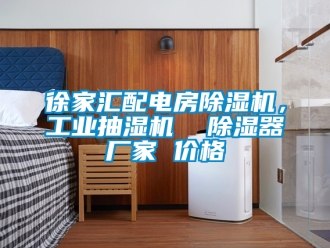 企業(yè)新聞徐家匯配電房除濕機(jī)，工業(yè)抽濕機(jī)  除濕器廠家 價(jià)格