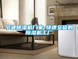 企業新聞寧波除濕機廠家-快速交貨的除濕機工廠