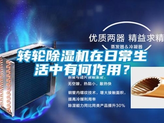 知識百科轉輪除濕機在日常生活中有何作用？