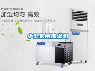 企業新聞小型家用抽濕機