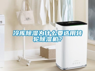 行業(yè)新聞冷庫除濕為什么要選用轉(zhuǎn)輪除濕機(jī)？