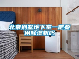 企業(yè)新聞北京別墅地下室一定要用除濕機嗎