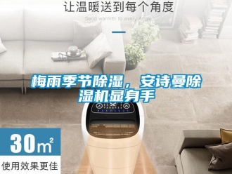 企業新聞梅雨季節除濕，安詩曼除濕機顯身手