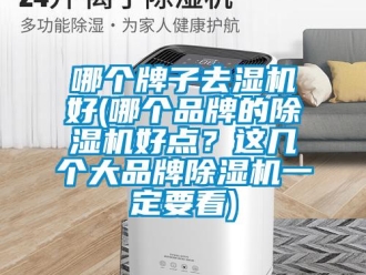 企業(yè)新聞哪個(gè)牌子去濕機(jī)好(哪個(gè)品牌的除濕機(jī)好點(diǎn)？這幾個(gè)大品牌除濕機(jī)一定要看)
