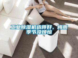企業(yè)新聞工業(yè)除濕機(jī)選得好，梅雨季節(jié)沒(méi)煩惱