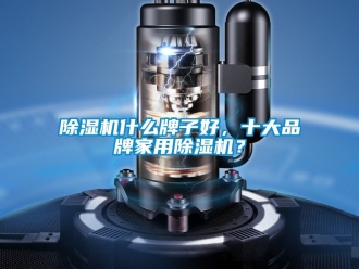 企業新聞除濕機什么牌子好，十大品牌家用除濕機？
