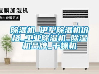 常見問題除濕機(jī)_伊犁除濕機(jī)價格_工業(yè)除濕機(jī)_除濕機(jī)品牌_干燥機(jī)
