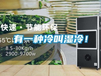 知識百科有一種冷叫濕冷！
