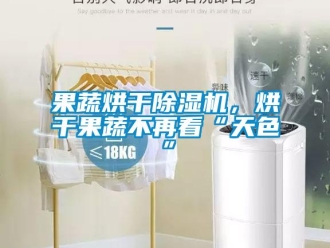 行業新聞果蔬烘干除濕機，烘干果蔬不再看“天色”