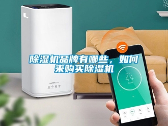企業新聞除濕機品牌有哪些，如何來購買除濕機