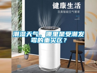 企業新聞潮濕天氣，哪里是受潮發霉的重災區？