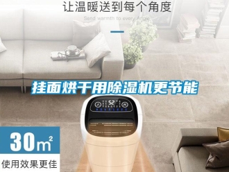企業(yè)新聞掛面烘干用除濕機(jī)更節(jié)能