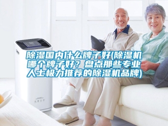 企業(yè)新聞除濕國(guó)內(nèi)什么牌子好(除濕機(jī)哪個(gè)牌子好？盤點(diǎn)那些專業(yè)人士極力推薦的除濕機(jī)品牌)