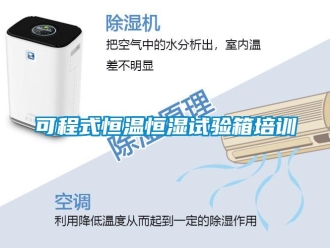 知識(shí)百科可程式恒溫恒濕試驗(yàn)箱培訓(xùn)