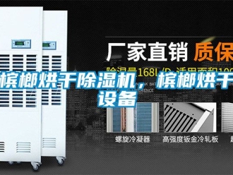 企業(yè)新聞檳榔烘干除濕機，檳榔烘干設備