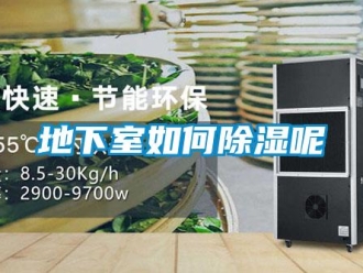 企業(yè)新聞地下室如何除濕呢