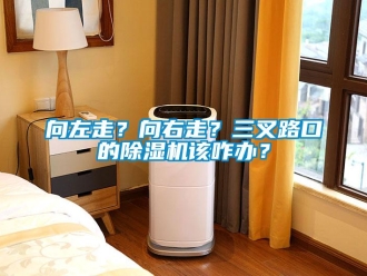 知識百科向左走？向右走？三叉路口的除濕機該咋辦？