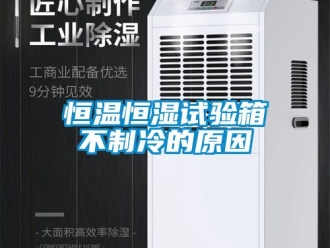 知識百科恒溫恒濕試驗箱不制冷的原因