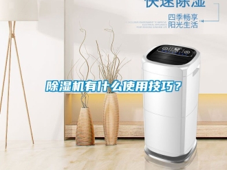行業新聞除濕機有什么使用技巧？
