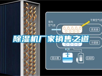 企業(yè)新聞除濕機廠家銷售之道