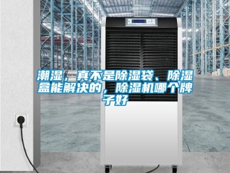 企業(yè)新聞潮濕，真不是除濕袋、除濕盒能解決的，除濕機哪個牌子好